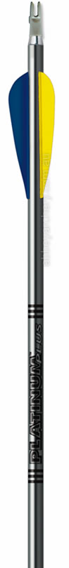 Easton XX75 Platinum Plus arrow dozen image